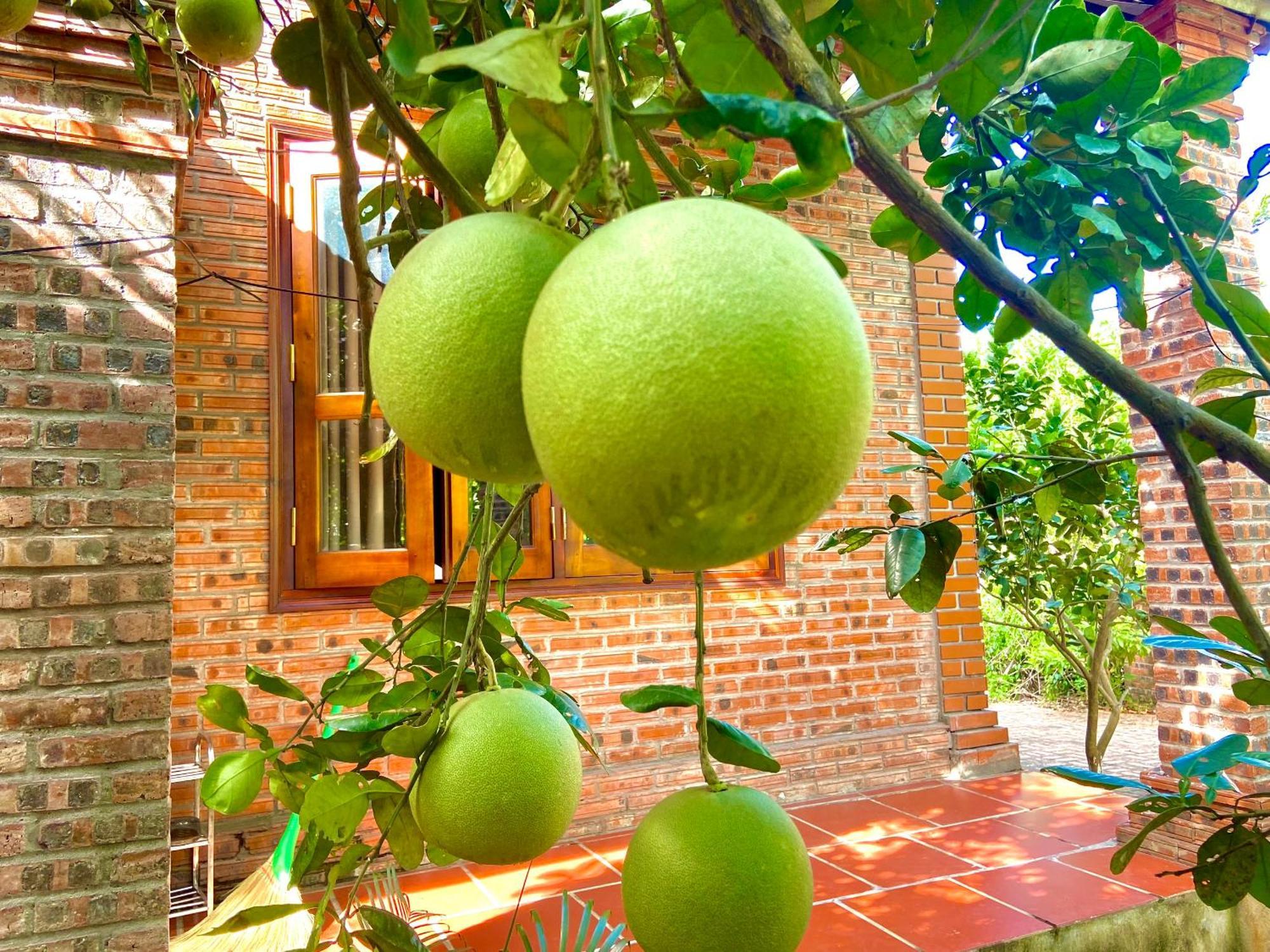 Ninh Binh Friendly Homestay Exterior photo