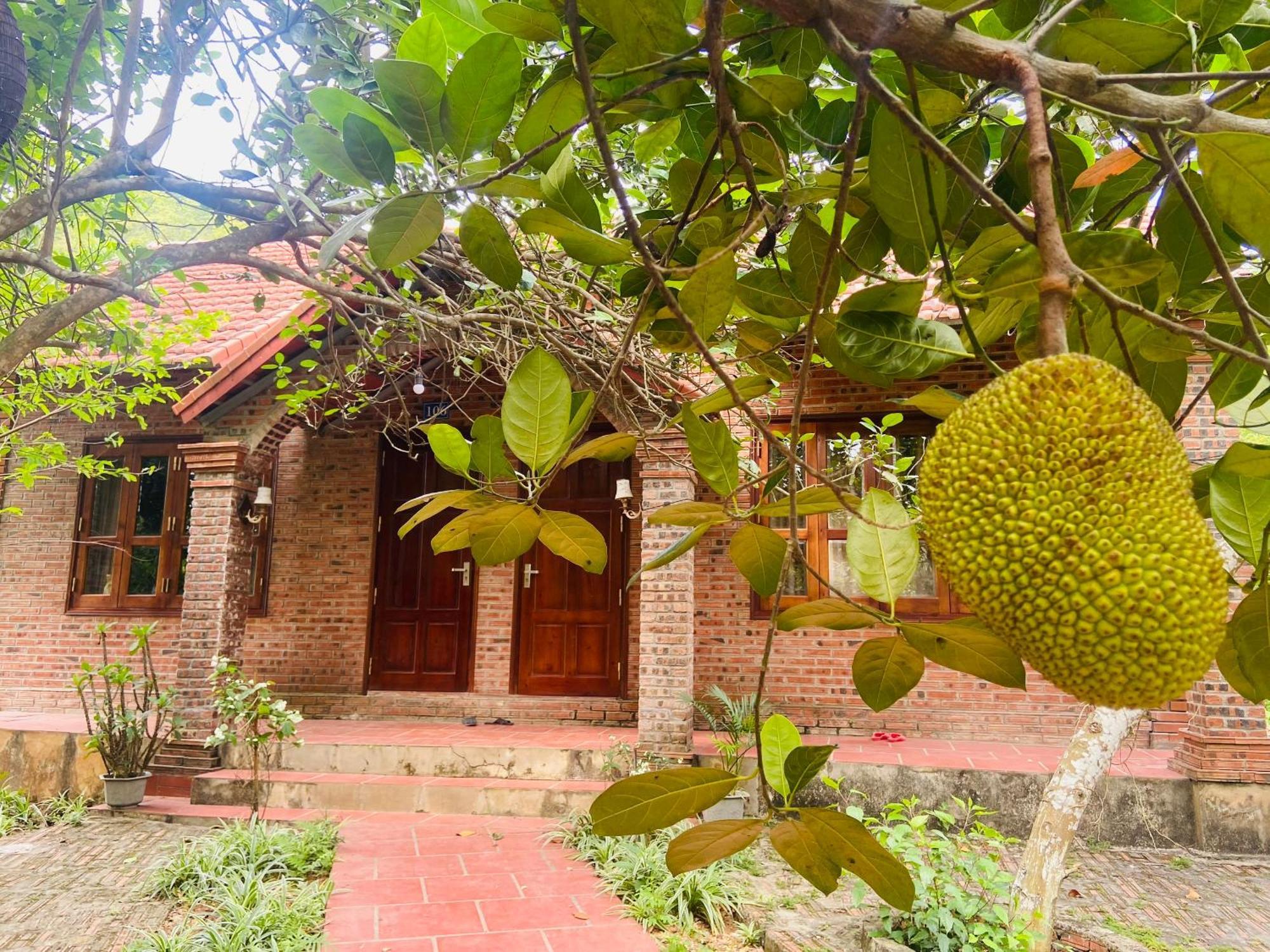 Ninh Binh Friendly Homestay Exterior photo