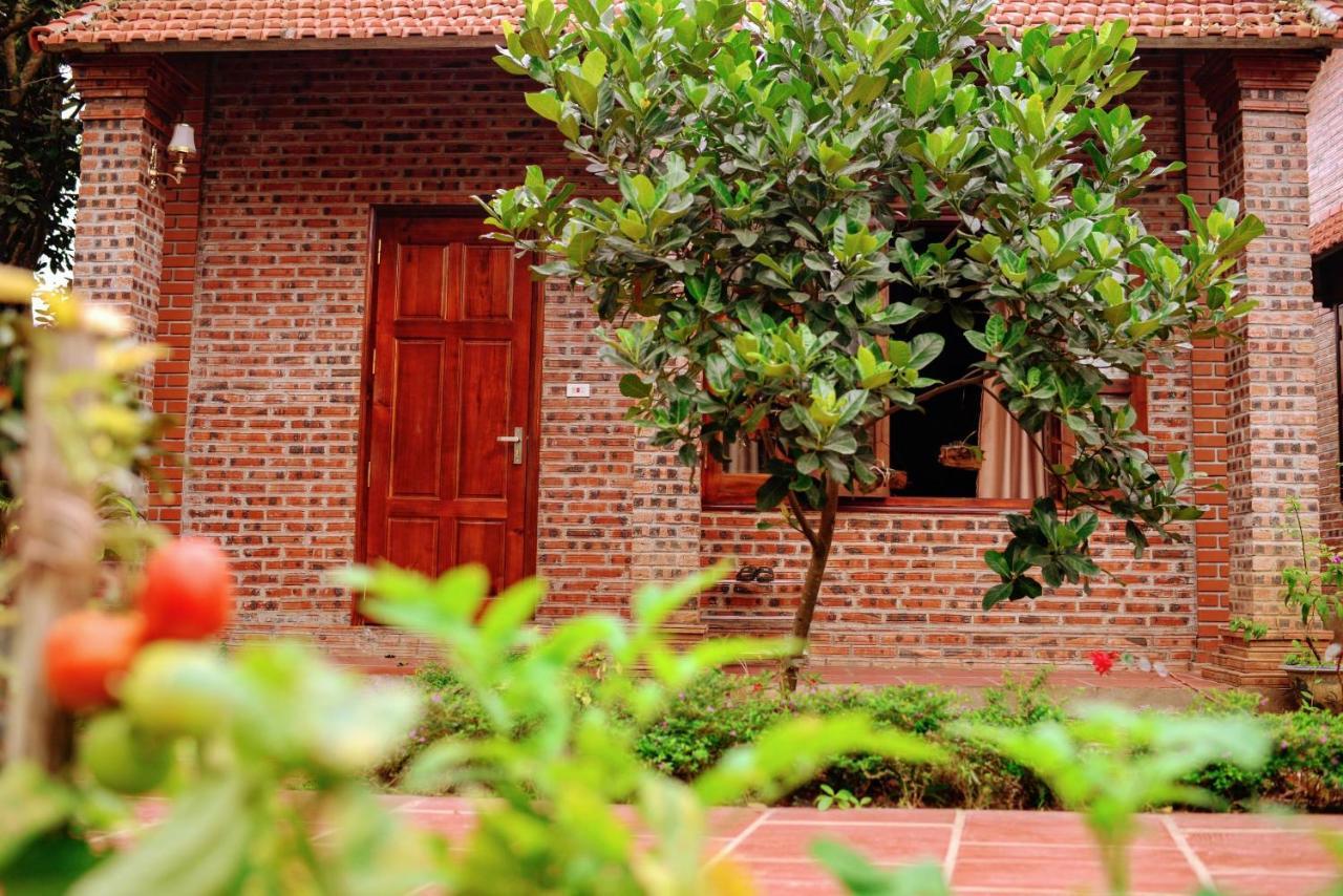 Ninh Binh Friendly Homestay Exterior photo